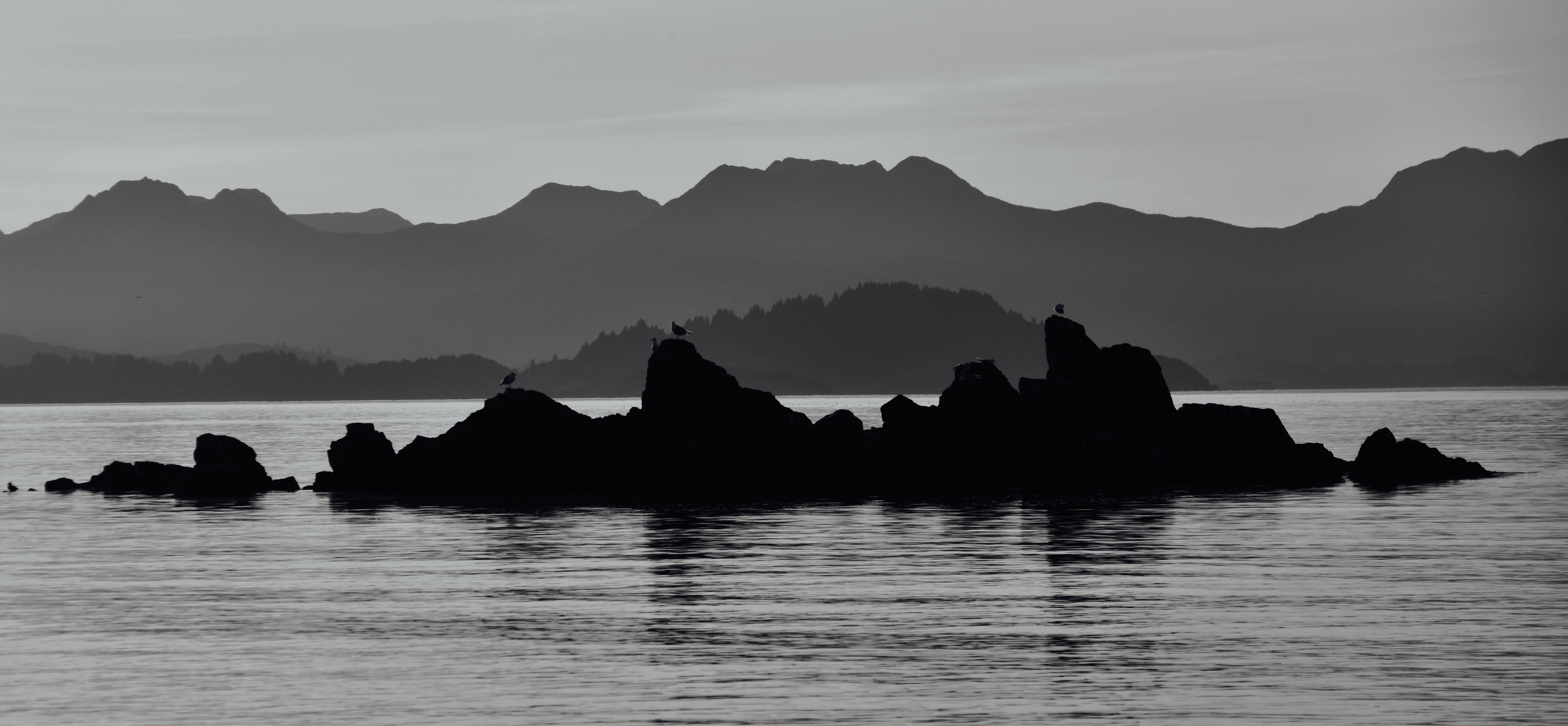 Balancing Composition in Nature Photography