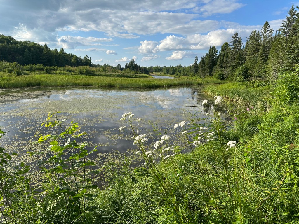 The Black River as it enters Interfalls Lake at Pattison State Park, Wisconsin