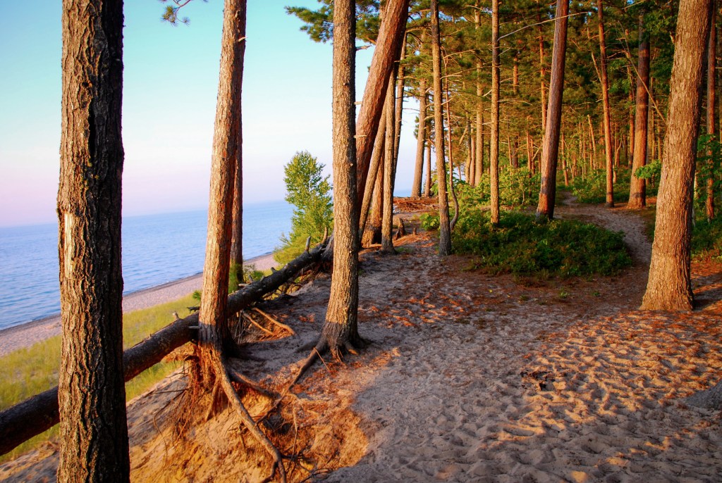 Hiking trail along the Pictured Rocks National Lakeshore