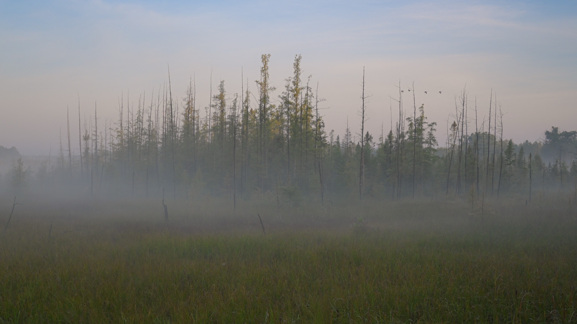 Foggy Morning Photos in Northern Wisconsin