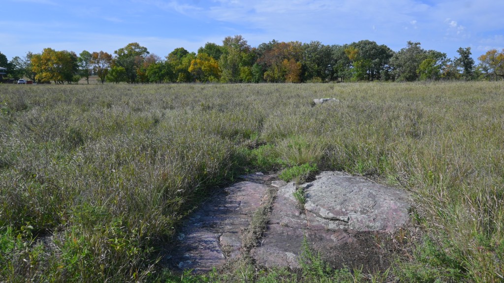 A Sioux Quartzite boulder stands out on the tallgrass prairie