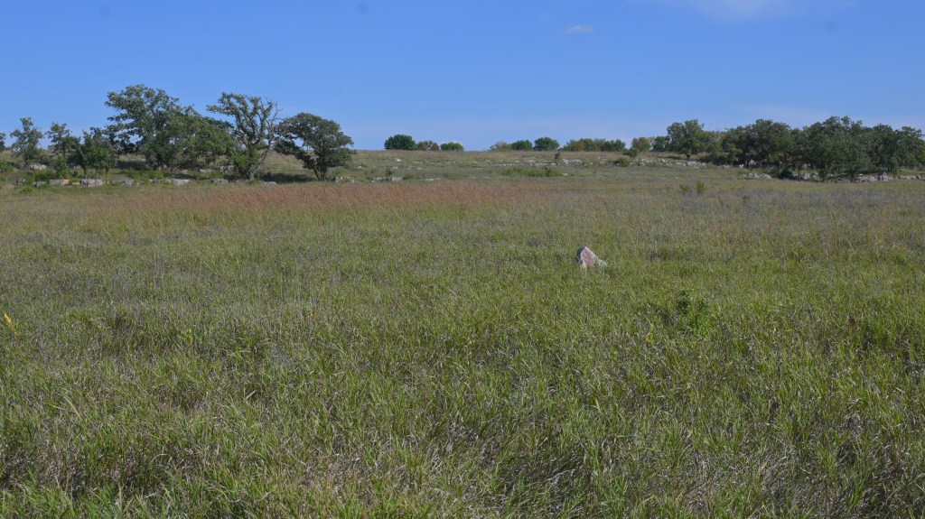 The tallgrass prairie stretches across Pipestone National Monument, where tribes once gathered in peace to quarry the sacred red stone.