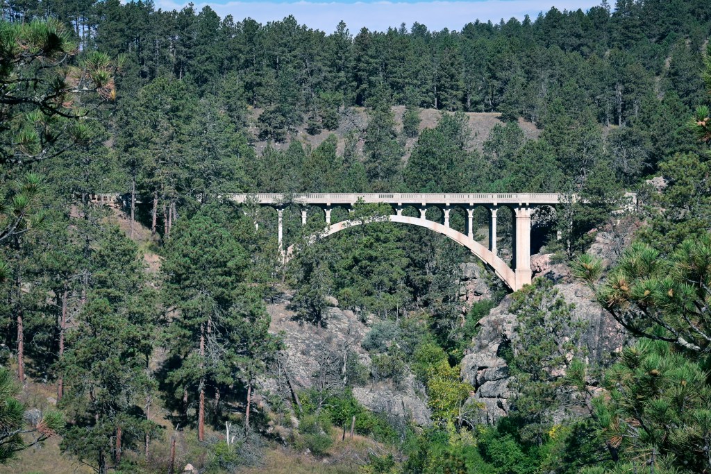The Beautiful Bridge of Custer State Park