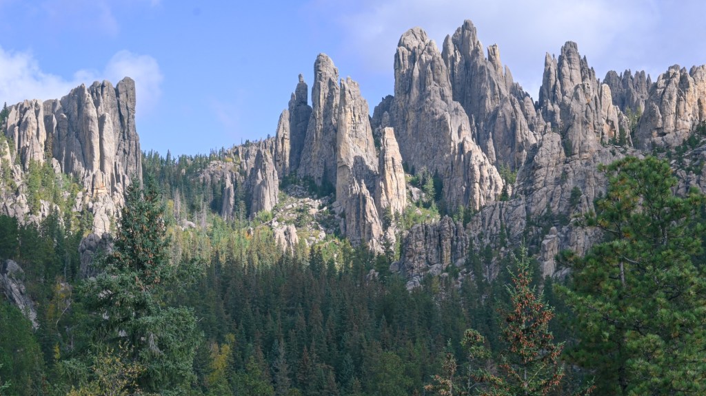 These jointed granite columns rise like organ pipes above the Ponderosa Pines of the Black Hills. Weathering along fractures create sharp vertical walls and narrow corridors.