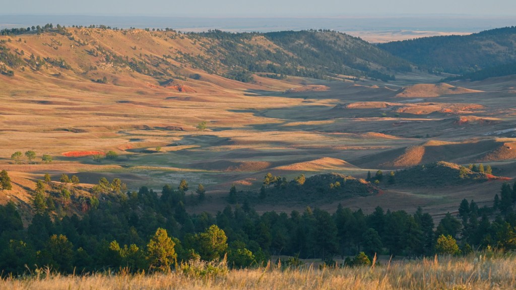 The "outer rings" of the Black Hills are eroded layers of rust-colored sandstone and shale that were deposited in a shallow inland sea.