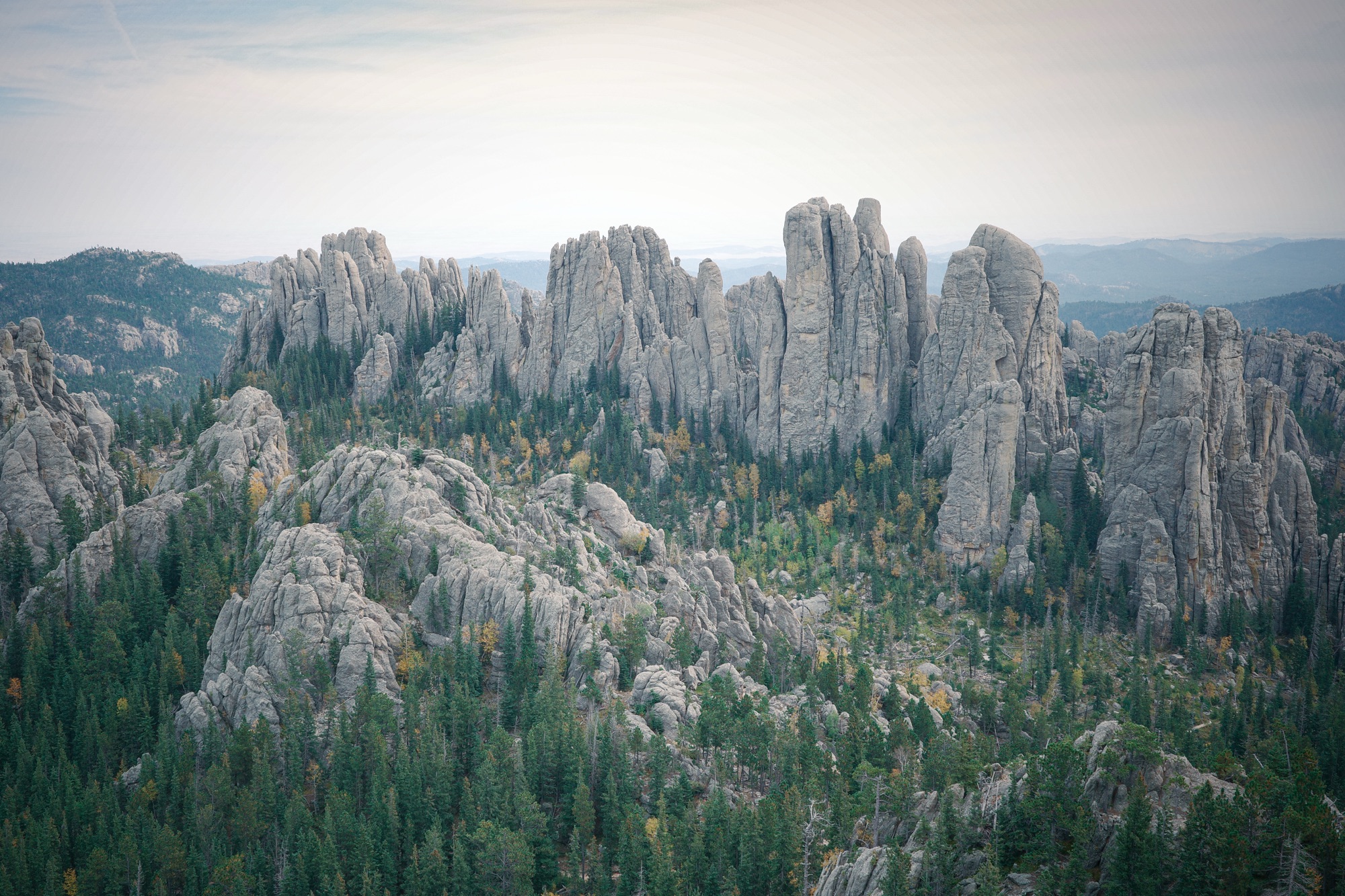 Back to the Black Hills of South Dakota