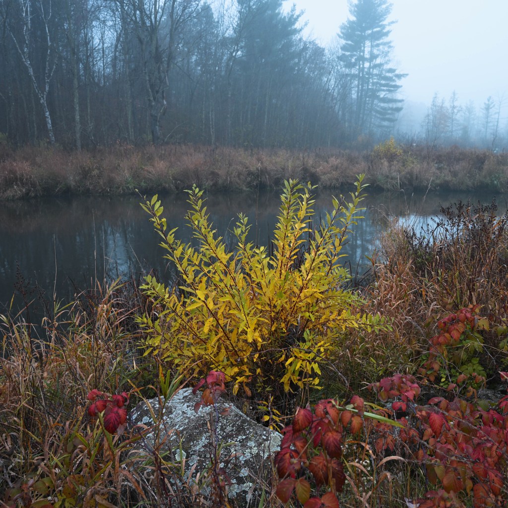 Brilliant fall colors along the Yellow River