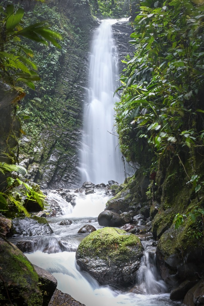 La Cascada Reina in the Mindo Cloud Forest, Ecuador