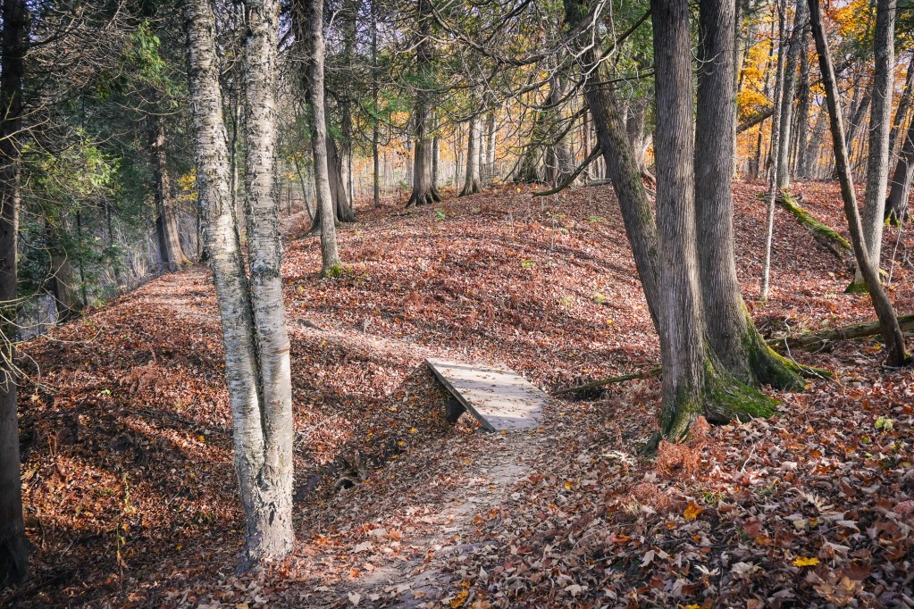 Autumn hiking trail winding through a Wisconsin woodland, passing a small wooden footbridge beneath birch, cedar, and hardwood trees.