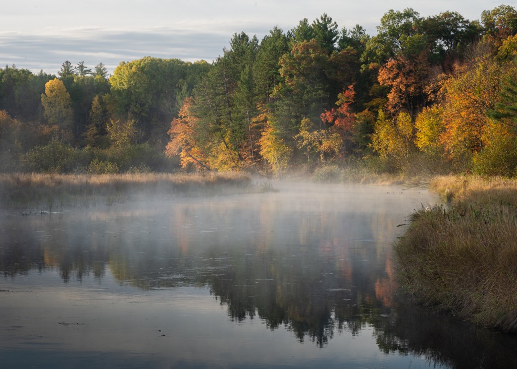 Morning mist drifts across a quiet river bordered by golden autumn grasses and colorful hardwood trees reflected in the water.